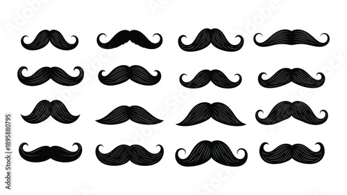 Collection of diverse mustache styles Vector