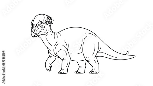 Thick headed pachycephalosaurus dinosaur walking with a sturdy build, detailed prehistoric creature line art illustration for science education.
