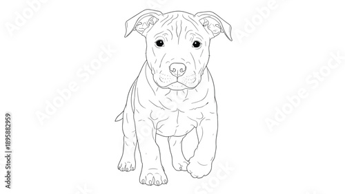 Loyal puppy dog standing and looking forward in a detailed line art drawing suitable for a canine themed coloring book page.