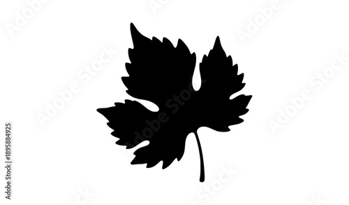 Grape leaf silhouette vector illustration isolated on white background