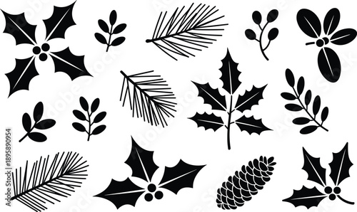 Assorted holiday foliage and pine branches isolated on transparent background