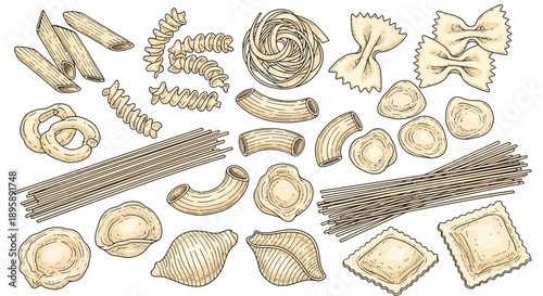 Pasta Variety Illustration. Italian Food
