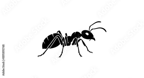 A stark black silhouette illustration of a solitary ant, emblematic of perseverance, hard work, and the intricate world of insects, presented on a clean white canvas