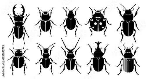 A diverse collection of black silhouette beetle icons, showcasing various insect species with detailed anatomical features for entomology or nature-themed designs and educational illustrations