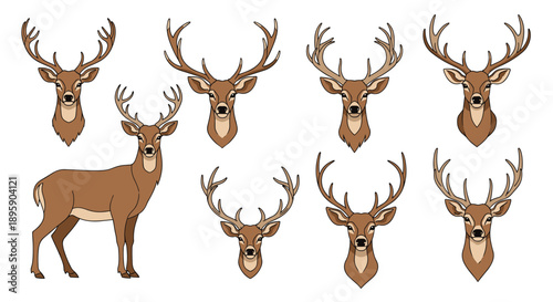Assorted illustrations of majestic deer and stag heads showcasing different antler shapes and a full body profile standing.