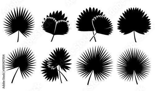 Tropical palm leaves silhouette vector set solid black isolated on transparent background