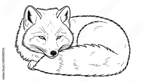 Cunning Fox in Repose: A serene fox with a fluffy tail, curls up peacefully, its eyes gently closed in quiet contemplation. Evoking a sense of tranquility and natural grace.