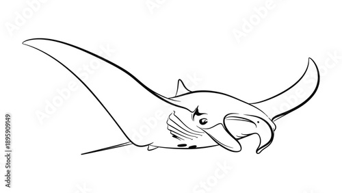 Elegant Silhouette: An artistic line drawing of a majestic manta ray, gliding gracefully through the ocean depths. A captivating monochrome depiction of marine beauty.