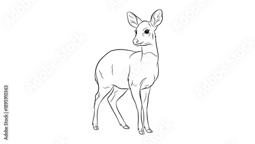 Sketch of Fawn: A delicate line drawing of a charming young fawn, capturing the essence of innocence and the grace of nature. 