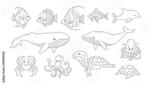 Aquatic Life in Monochrome: A collection of meticulously rendered marine creatures, showcasing the elegant forms and textures of various sea inhabitants in a monochromatic palette.