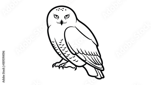 Snowy Owl Illustration: A striking black and white illustration of a majestic snowy owl, its piercing eyes and intricate feather details capture the essence of this arctic predator.