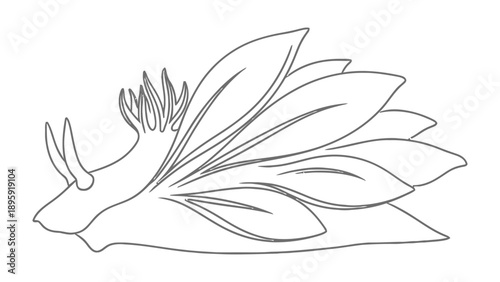 Sea Slug Illustration: A detailed black and white illustration of a vibrant sea slug, showcasing its unique form and features, ready to bring underwater charm to your project.