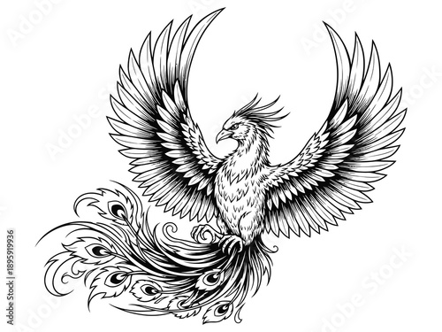 Pheonix Sketch Vector