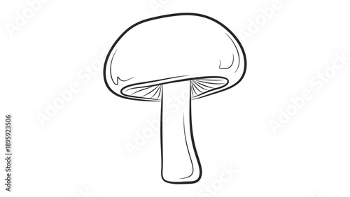 Mushroom Illustration: A detailed black and white illustration of a single mushroom, perfect for botanical or educational purposes.