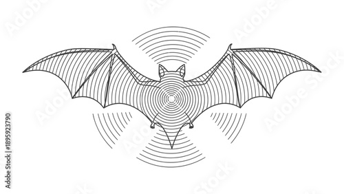 Echoes of the Night: A minimalist monochrome depiction of a bat, exuding an aura of mystery with radiating sonic waves, as if navigating through the night.