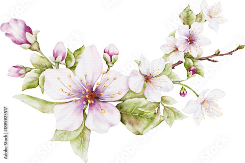 Watercolor Floral Cherry Blossom