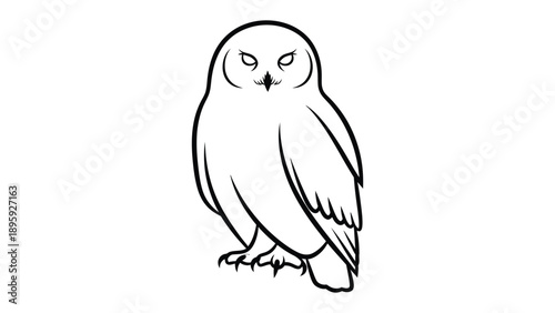 Artful Owl Illustration: A refined and elegant illustration of an owl, presenting its iconic form and contemplative expression through skilled line art. 