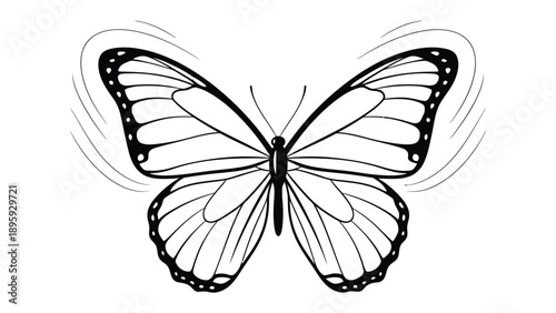 Butterfly's Flight: A detailed monochrome illustration of a butterfly in full flight, showcasing its symmetrical wings.