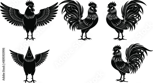 Rooster silhouette set isolated on white background farm animal collection crowing chicken illustration rural agriculture design