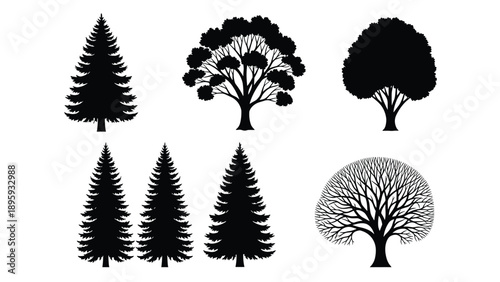 ollection of black tree silhouettes including coniferous pine spruce and deciduous leafy oak maple trees isolated on white background for design