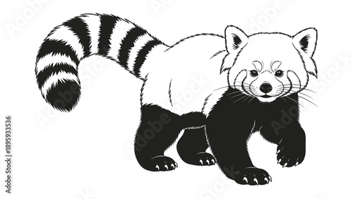 Red Panda in Monochrome: A charming illustration of a red panda, its unique features defined by contrasting shades, conveying its captivating presence.