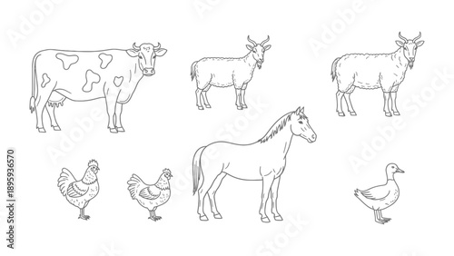 Farm Animals in Outline: A charming collection of farm animals, gracefully outlined, presents a timeless representation of rural life.