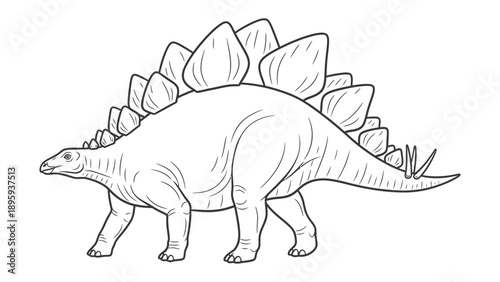 Stegosaurus Line Art: A detailed illustration of a Stegosaurus, showcasing its unique plated back and iconic appearance.