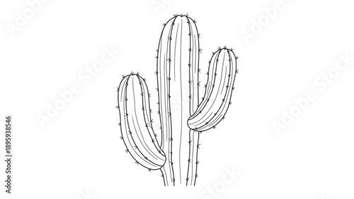 Desert Cactus: A detailed black and white illustration showcases the resilience of a desert cactus.