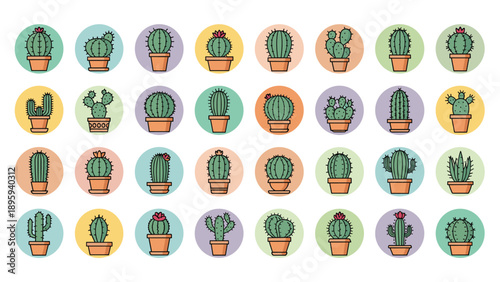Colorful grid of thirty two different cactus icons in small circles displays a variety of desert plant species for web or app design.