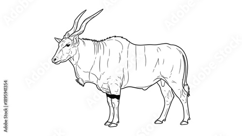 Eland in Line Art: A majestic eland, a symbol of strength and grace, stands proudly, captured in a clean and elegant line art style. 