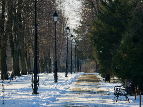 A snow-covered pathway in a park in Iasi, Romania, is lined with black vintage street lamps, bare trees, and evergreen bushes. Empty benches are covered in snow on a sunny winter day.