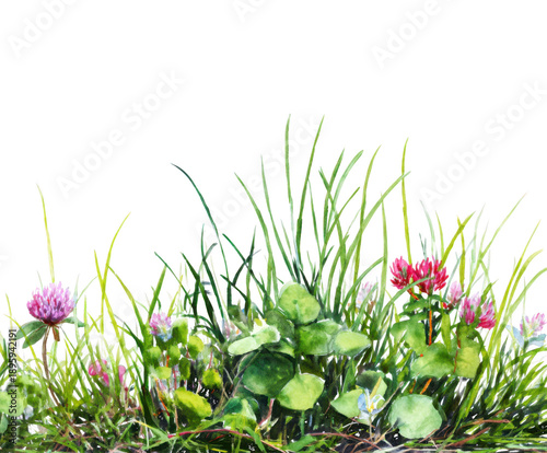 Watercolor Painting of Green Grass and Pink Clover Flowers on Black file (203 isolated on a transparent background