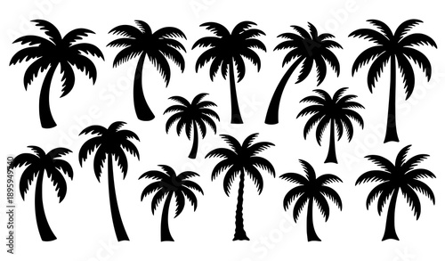 Artistic palm tree silhouettes hand drawn vector set in black monochrome