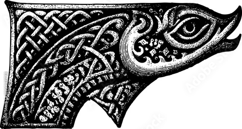 Detailed vector illustratio...