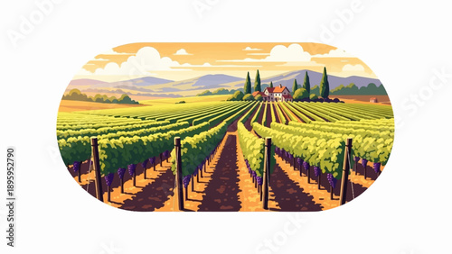 Rolling vineyard landscape with Tuscan-style house and cypress trees under sunset