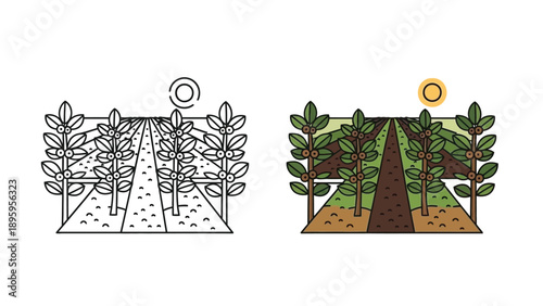 Illustration comparing a simple black and white line art outline with a fully colored version depicting a lush coffee plantation extending towards the horizon under bright sunlight