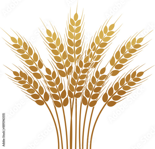Wheat sheaf illustration golden grain ears agriculture harvest farming food organic vector design collection cereal natural rural symbol isolated minimal