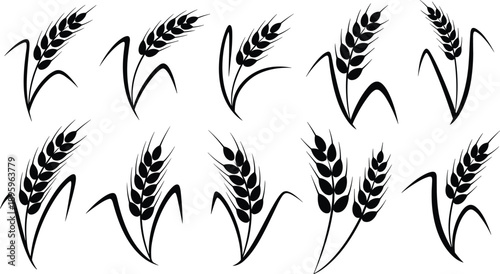Wheat ear icon set minimal grain agriculture symbols harvest farming food industry black vector illustration design