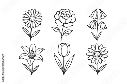 A collection of hand drawn floral illustrations depicting daisies tulips lilies and other blooms