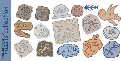 Hand drawn fossil collection vector featuring dinosaur bone, fish skeleton, shell, footprint and ancient imprint. Flat illustration perfect for education, science project, kids design and archaeology.