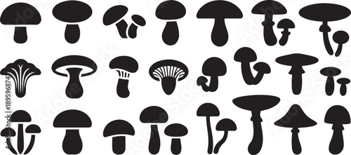 Set of Mushroom. Silhouette vector icon illustration with white background