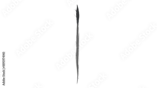 Abstract black paint stroke on a clean white background.