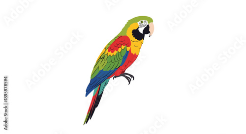 Stunning macaw parrot with vibrant red, yellow, green, and blue plumage is perched gracefully against a plain white background.