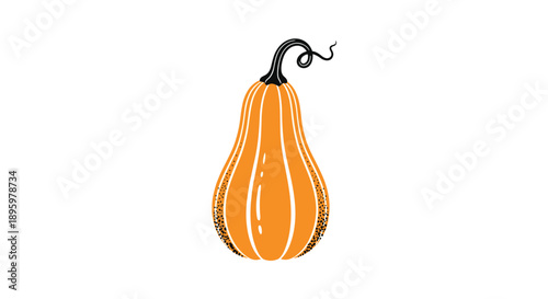 Tall and slender orange pumpkin with a long curved stem is shown in a detailed illustration featuring subtle textures and white stripes.