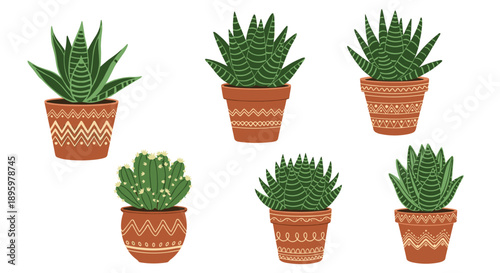 Variety of green succulent plants in decorative clay pots with geometric patterns are arranged on a clean and simple white background.