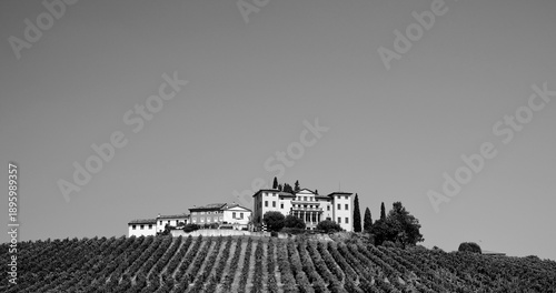 Italia in bianco e nero. Panorama dei vigneti del Prosecco nella regione di Valdobbiadene in provincia di Treviso. Veneto, Italia	

