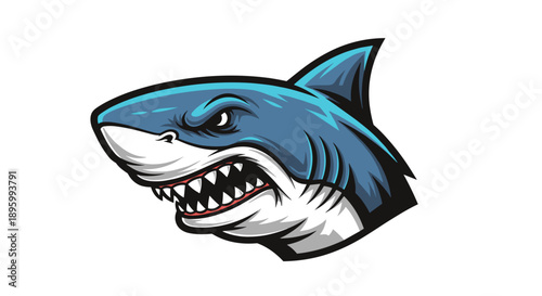 Cartoon Shark Head with Sharp Teeth 1.