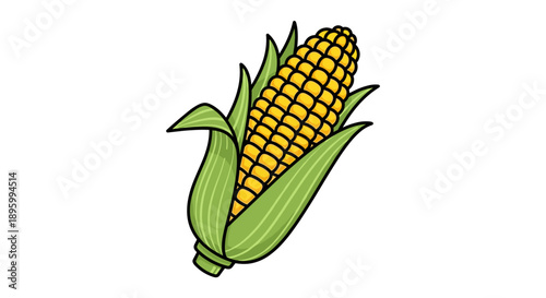 Illustration of Corn on the Cob.