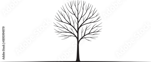 A solitary leafless tree silhouette is centrally positioned, showcasing intricate bare branch patterns against a bright white background with a subtle shadow.