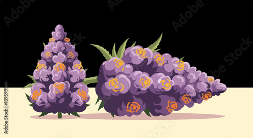 Two clusters of purple grapes with orange highlights on a light surface